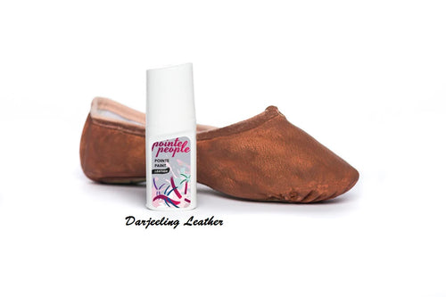 Leather Pointe Paint